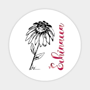 Echinacea Flower Art Print Magnet